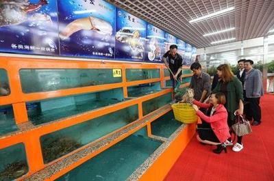 銅川水族批發(fā)市場：關(guān)于銅川水族批發(fā)市場 全國觀賞魚市場 第2張