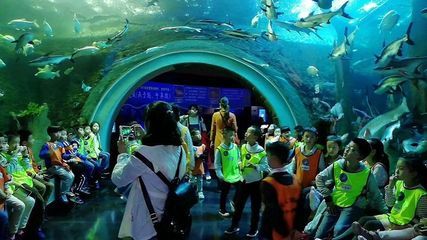 成都最大的水族館在哪里：成都最大的水族館 水族館百科（水族館加盟） 第5張