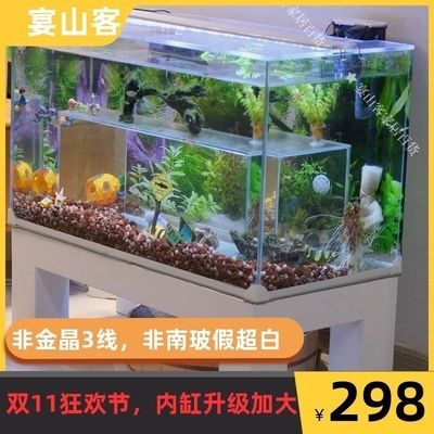 高品質(zhì)觀賞魚市場趨勢：高品品品品品品品品品品質(zhì)觀賞魚市場發(fā)展趨勢分析