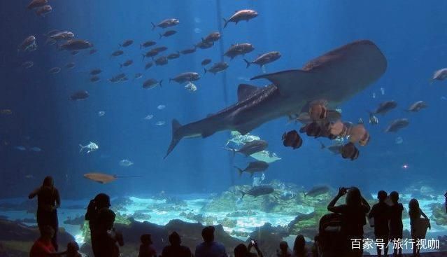 大興安嶺水族館：《2021城市商業(yè)魅力排行榜》大興安嶺水族館商業(yè)魅力排行榜 全國(guó)觀賞魚(yú)市場(chǎng) 第5張