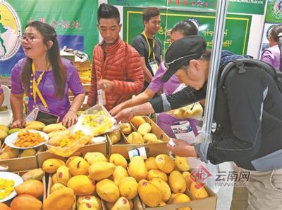 德宏傣族景頗族自治州水族批發(fā)市場：德宏傣族景頗族自治州水族店