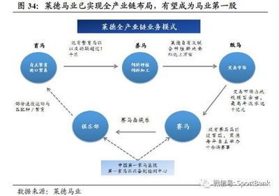 飛龍魚百科：飛龍魚是如何繁殖的？ 水族問(wèn)答 第2張