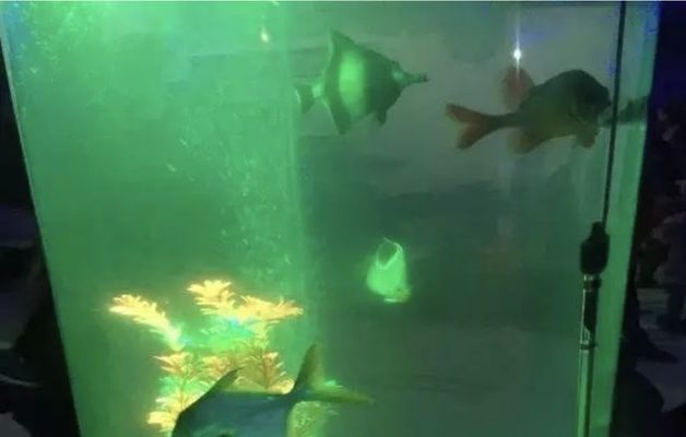 水族館放在客廳哪里？：客廳魚缸風水布局技巧