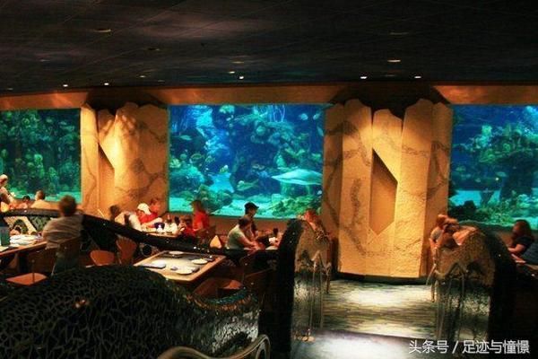 水族館一般多大：歐洲最大水族館規(guī)模可以從多個(gè)維度來衡量水體容量