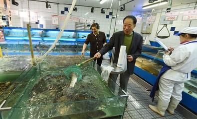 黃南藏族自治州魚缸批發(fā)市場：成都魚缸批發(fā)市場 全國觀賞魚市場 第3張