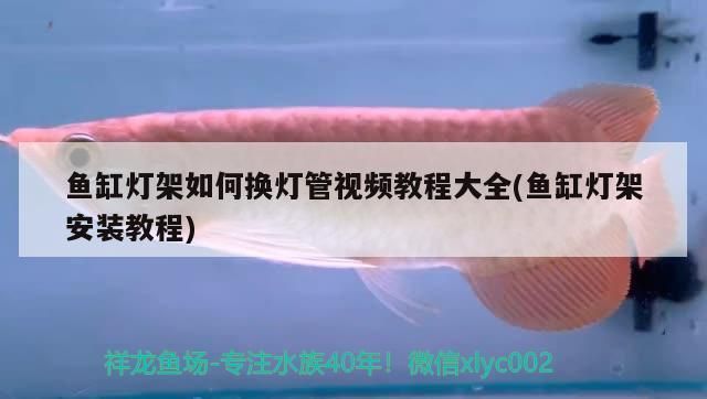 魚缸燈架安裝教程 魚缸百科 第2張