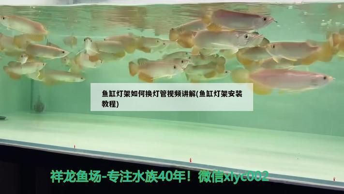 魚(yú)缸燈架安裝教程