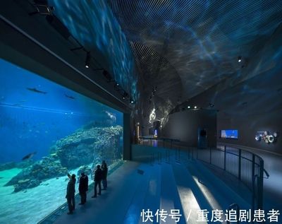 水族館是什么單位性質(zhì)：關(guān)于水族館單位性質(zhì)的詳細信息 水族館百科（水族館加盟） 第5張