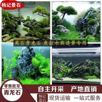 景石魚缸打造：景石魚缸造景石擺放的風(fēng)水講究魚缸造景石擺放的風(fēng)水講究 魚缸百科 第5張