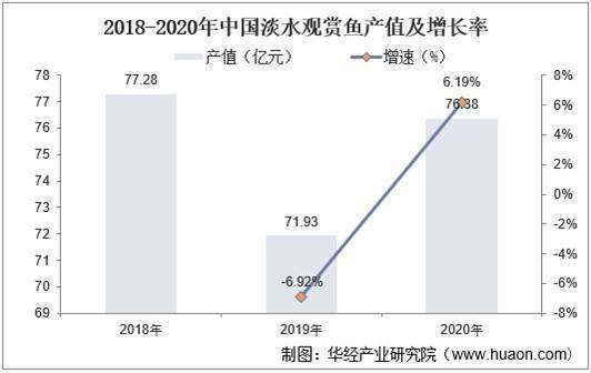 剛出生的龍魚有多大體重：剛出生的龍魚平均體重是多少新生龍魚平均體重是多少 水族問(wèn)答