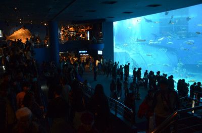 水族館招牌：水族館招牌的設(shè)計(jì)靈感來源