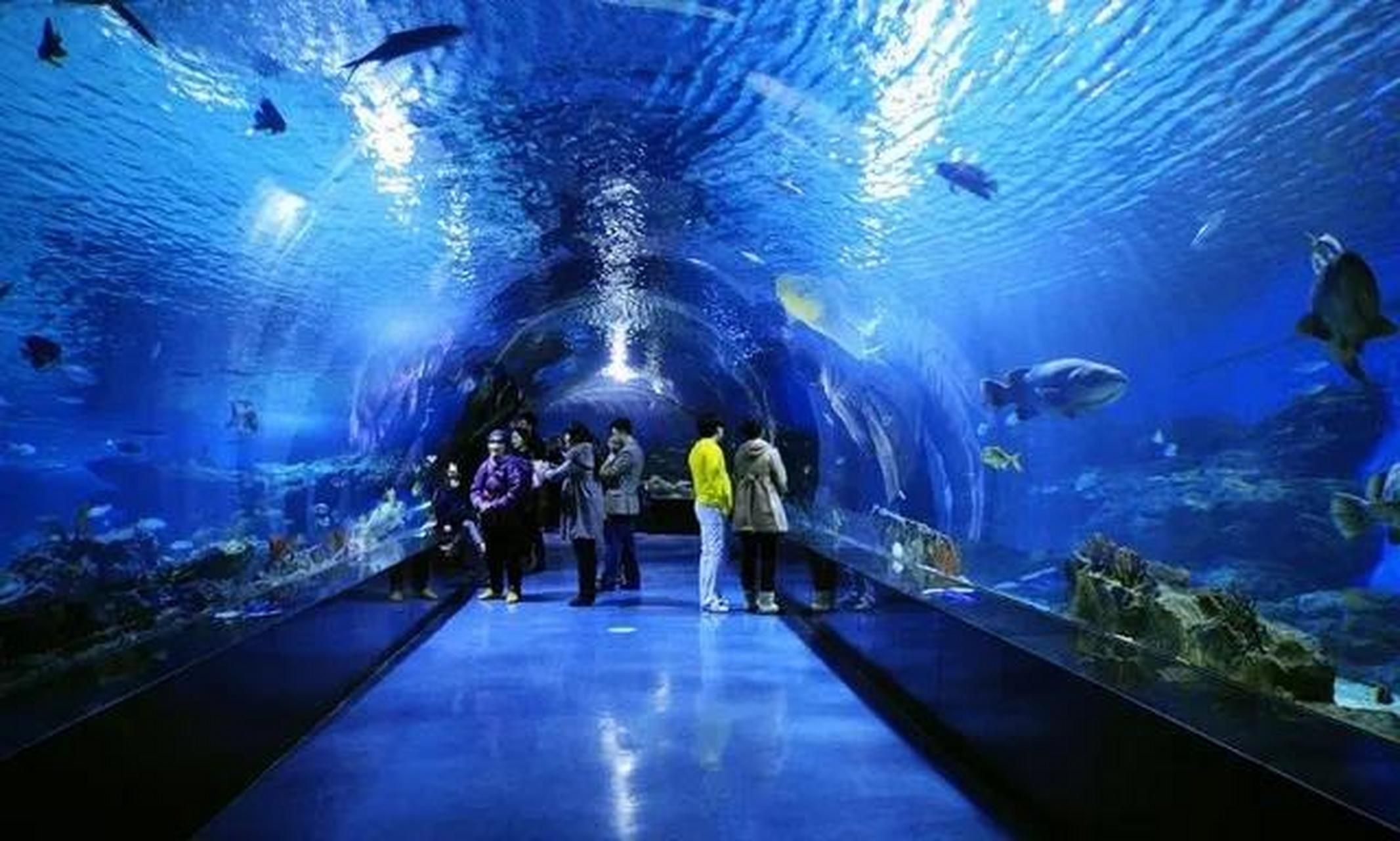 水族館制作廠家電話：水族館制作廠家電話的作用