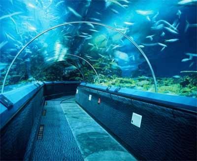 水族館制作廠家電話：水族館制作廠家電話的作用