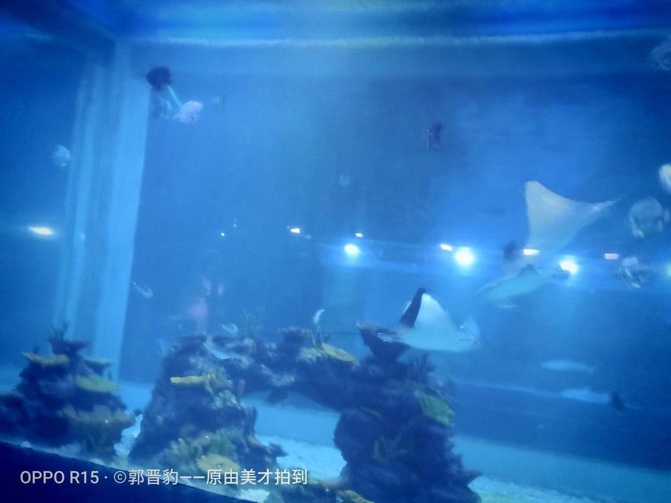 水族館制作廠家電話：水族館制作廠家電話的作用