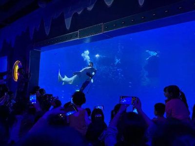 水族館制作廠家電話：水族館制作廠家電話的作用 水族館百科（水族館加盟） 第5張