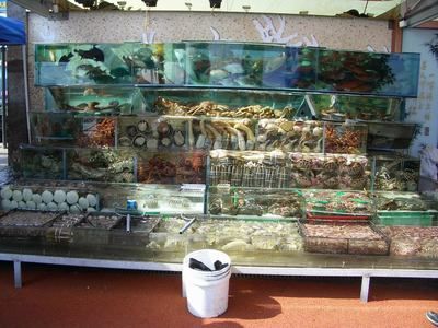 香港水族批發(fā)市場：香港水族批發(fā)市場介紹 全國觀賞魚市場 第2張