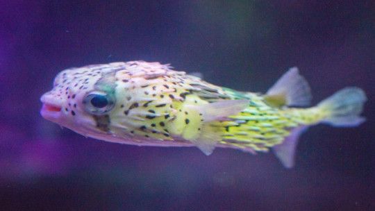 沈陽水族館：沈陽旅游攻略沈陽水族館