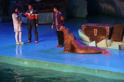 鐵嶺水族館：鐵嶺市水族館 全國觀賞魚市場 第2張