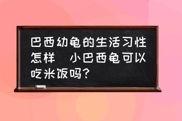 高背金龍魚和過背金龍魚哪個好養(yǎng)：高背金龍魚和過背金龍魚在外觀上有哪些不同的特征 水族問答 第2張