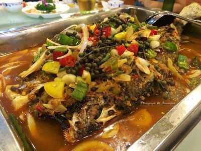 魟魚繁殖期間的飲食管理：魟魚繁殖期間飲食管理 魟魚百科 第1張