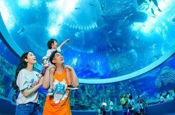 世界最大水族館展示窗：世界上最大的水族館展示窗位于珠海長(zhǎng)隆海洋王國(guó) 水族館百科（水族館加盟） 第1張