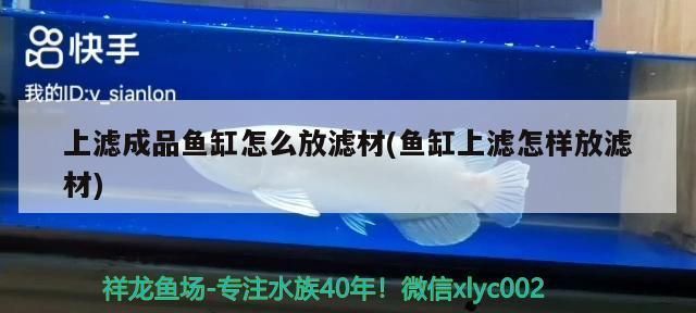 泰安魚缸批發(fā)市場：泰安魚缸批發(fā)市場在哪里有 全國觀賞魚市場 第6張