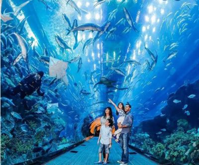 開一個(gè)水族館掙錢嗎現(xiàn)在怎么樣：開設(shè)水族館的成本 水族館百科（水族館加盟） 第1張