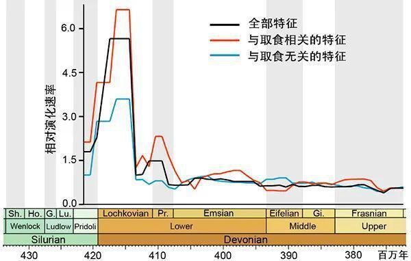 高清紅龍魚壁紙：一張高清紅龍魚壁紙 水族問(wèn)答 第2張