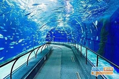 品牌水族館加盟排行：2018水族館加盟品牌排行榜 水族館百科（水族館加盟） 第1張