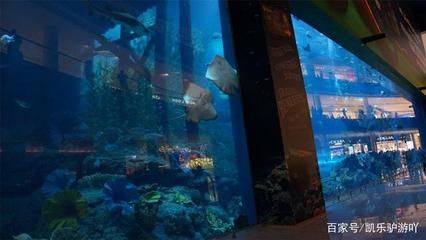 水族館店圖片：水族館店圖片詳情