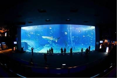 水族館店圖片：水族館店圖片詳情 水族館百科（水族館加盟） 第5張