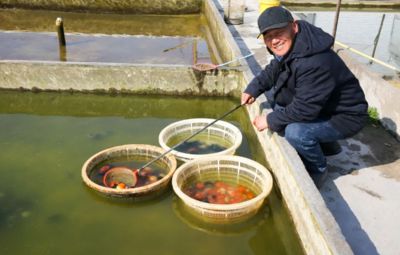 觀賞魚養(yǎng)殖技術(shù)創(chuàng)新：《觀賞魚養(yǎng)殖新技術(shù)》 觀賞魚百科 第5張