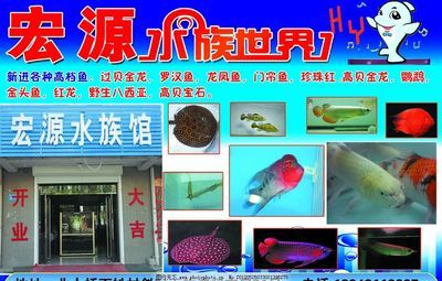 水族館招牌圖片大全：水族館招牌圖片大全水族館招牌設(shè)計(jì)靈感來源 水族館百科（水族館加盟） 第5張