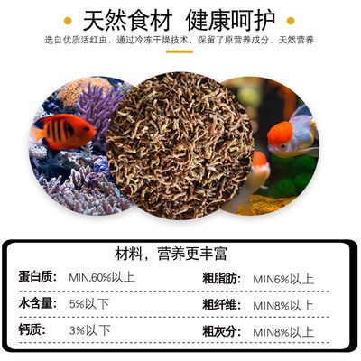 觀賞魚飼料營(yíng)養(yǎng)成分對(duì)比：自制觀賞魚飼料的營(yíng)養(yǎng)成分是決定魚類健康和生長(zhǎng)的關(guān)鍵因素 觀賞魚百科 第3張