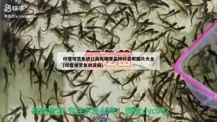 宣城水族批發(fā)市場(chǎng)：安徽宣城水族批發(fā)市場(chǎng)位于安徽省宣城水族批發(fā)市場(chǎng) 全國(guó)觀賞魚市場(chǎng) 第5張