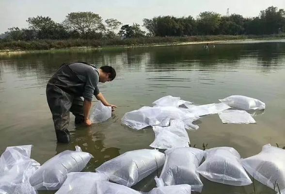 給金龍魚(yú)換水怎么換：如何正確給金龍魚(yú)更換水質(zhì)，-換水時(shí)間和注意事項(xiàng) 水族問(wèn)答 第2張