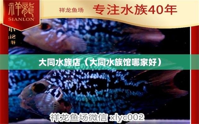 大同水族批發(fā)市場(chǎng)：大同水族批發(fā)市場(chǎng)-大同魚缸批發(fā)市場(chǎng) 全國(guó)觀賞魚市場(chǎng) 第4張