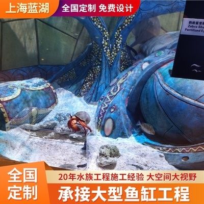 水族館施工過程：水族館施工過程的詳細(xì)信息 水族館百科（水族館加盟） 第2張