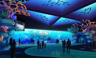 水族館施工過程：水族館施工過程的詳細(xì)信息 水族館百科（水族館加盟） 第3張