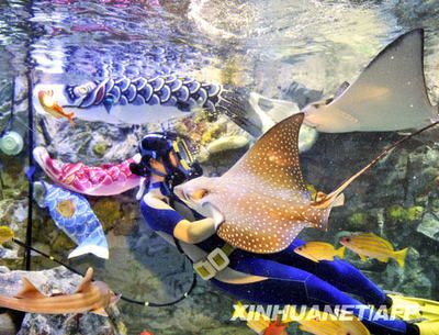 孝感水族館：孝感水族館孝感海洋水族館