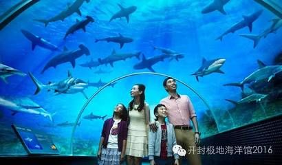 孝感水族館：孝感水族館孝感海洋水族館