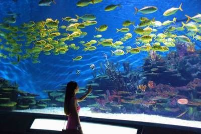 孝感水族館：孝感水族館孝感海洋水族館