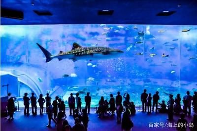 全國(guó)水族館排行2020年：2020年中國(guó)全國(guó)水族館排行 水族館百科（水族館加盟） 第4張