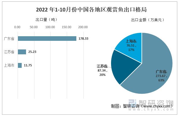 高端觀賞魚消費(fèi)趨勢(shì)研究：觀賞魚行業(yè)發(fā)展趨勢(shì)分析 觀賞魚百科 第3張