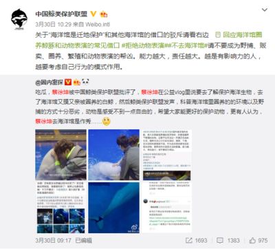 開一個水族館掙錢嗎多少錢人民幣：開一個水族館的盈利潛力 水族館百科（水族館加盟） 第4張