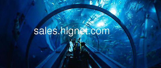 開一個水族館掙錢嗎多少錢人民幣：開一個水族館的盈利潛力 水族館百科（水族館加盟） 第5張