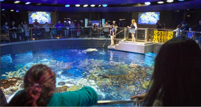 開一個水族館需要的采購清單是什么意思：開一個水族館需要的采購清單 水族館百科（水族館加盟） 第1張