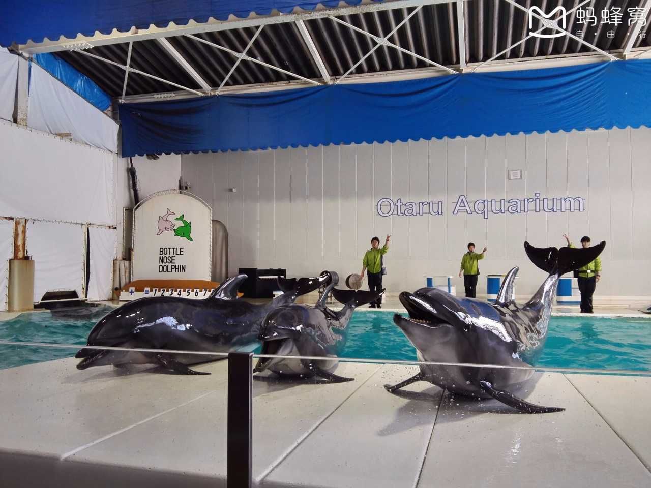 小樽水族館官網(wǎng)旗艦店：小樽水族館官網(wǎng)旗艦店介紹