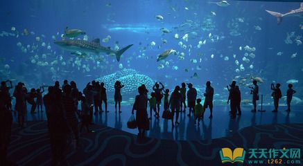 水族館用英語怎么讀：aquarium英語單詞拼寫