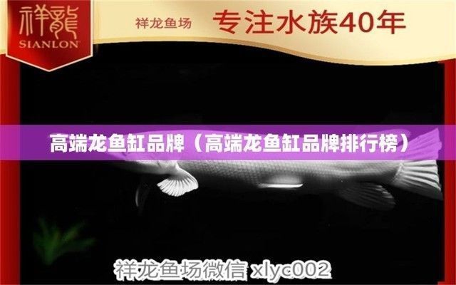 龍魚缸選擇什么牌子：哪些品牌的龍魚缸品牌比較好？ 魚缸百科 第5張